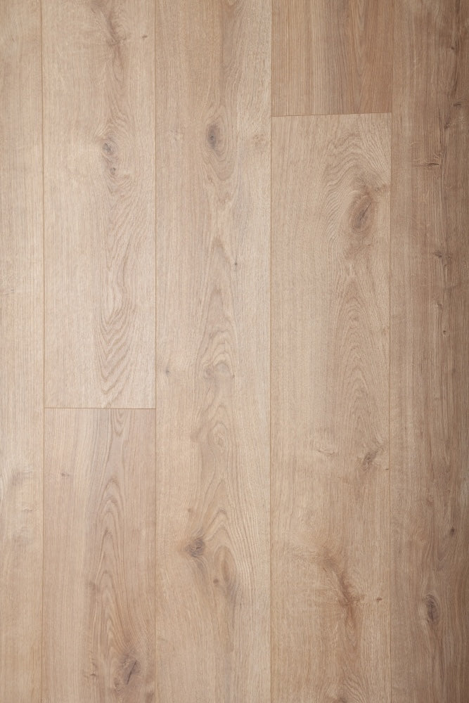 Eternity Sequoia XL Waterproof Performance Laminate - Empire
